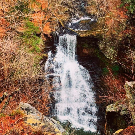 Pisgah, AL: Enjoy Gorham's Bluff and ...