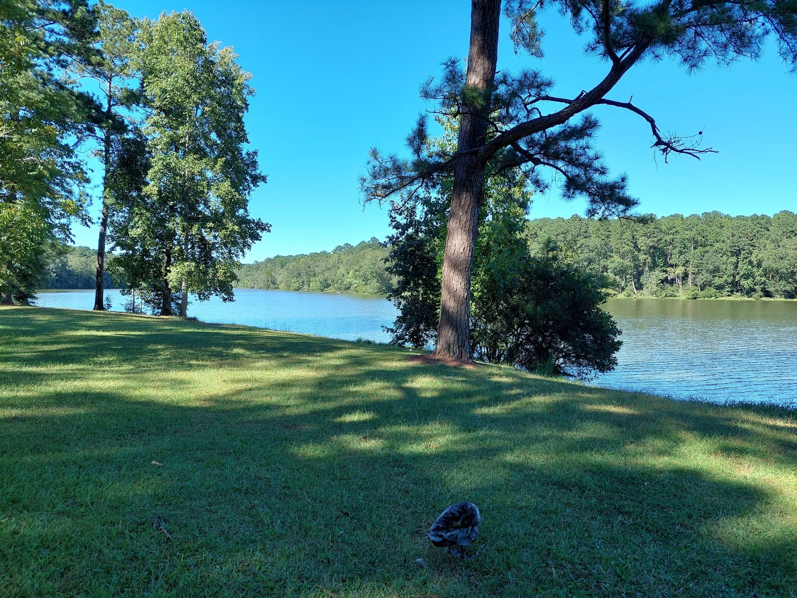 John Hutto Park in Newton | What to ...