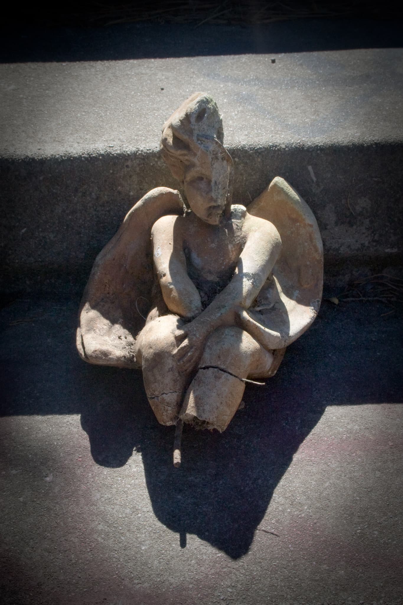 Angel Creep (2766089059).jpg