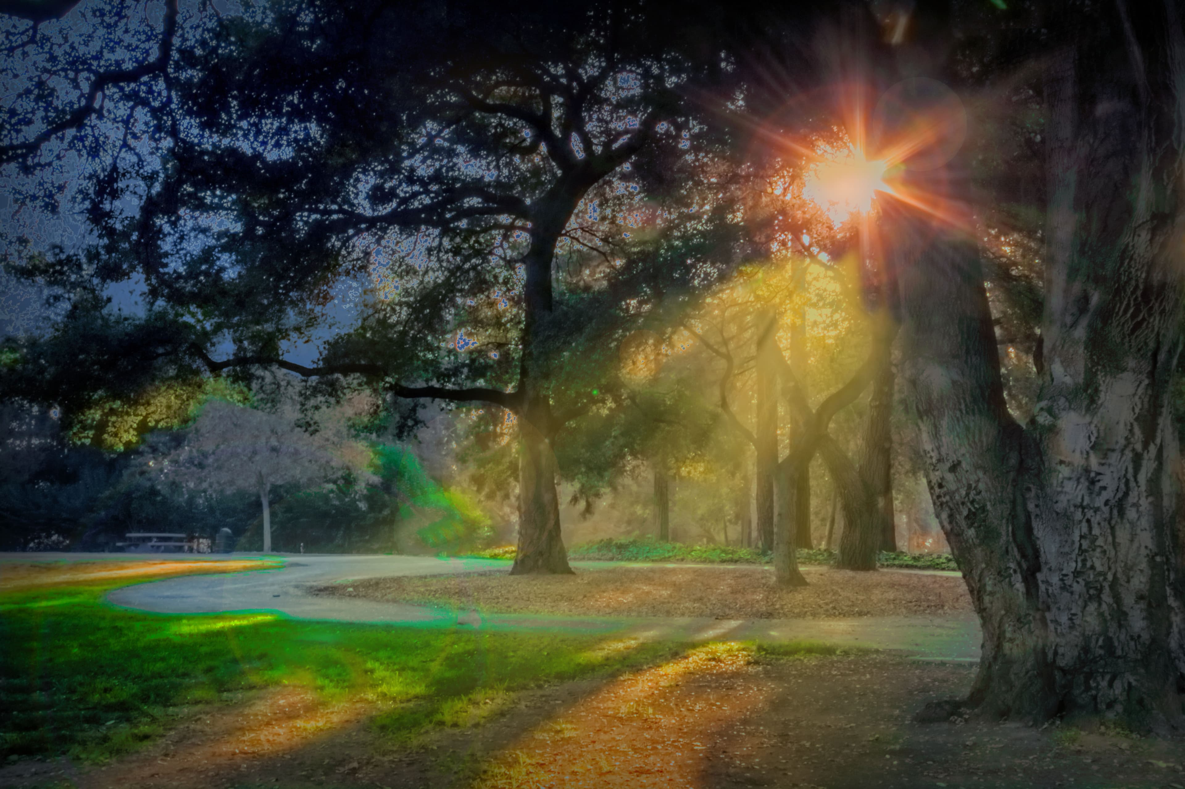 Early morning in the park (19929723120).jpg