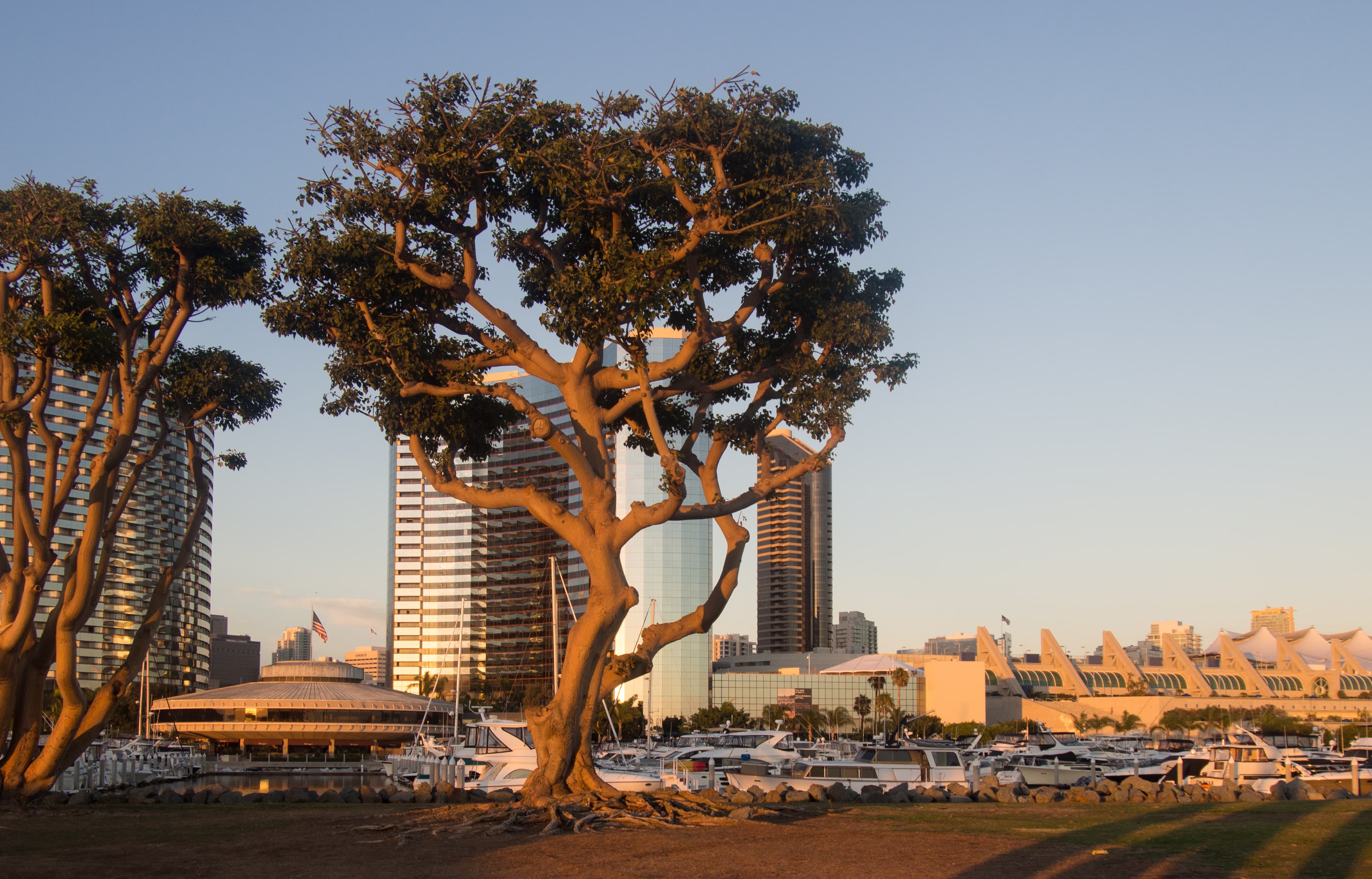 Embarcadero Marina Park North (00105).jpg