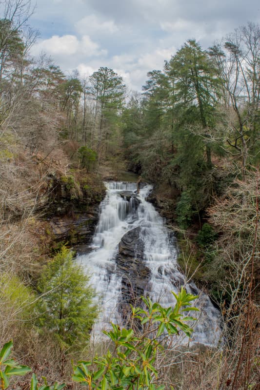 Pisgah Civitan Park: Pisgah Gorge Trail ...